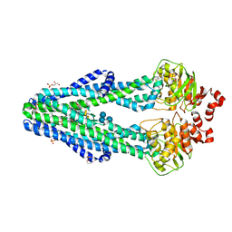 BU of 6bpp by Molmil