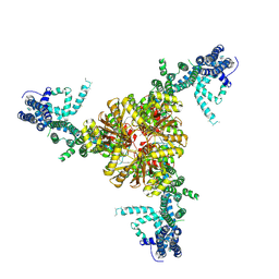 BU of 6bpz by Molmil