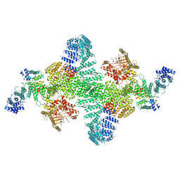 BU of 6bq1 by Molmil