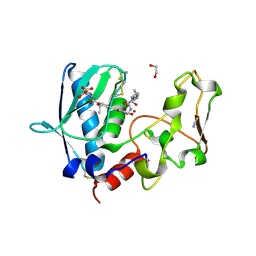 BU of 6bsl by Molmil