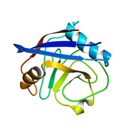 BU of 6bta by Molmil