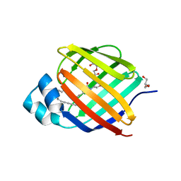 BU of 6bti by Molmil