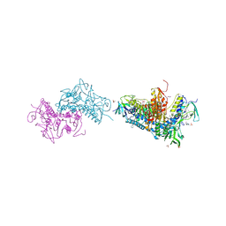 BU of 6btl by Molmil