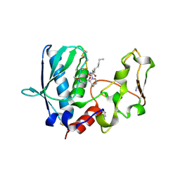 BU of 6btp by Molmil