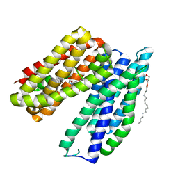 BU of 6btx by Molmil