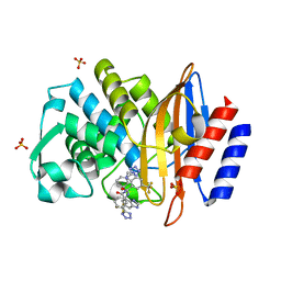 BU of 6bu3 by Molmil