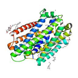 AU of 6bu5 by Molmil