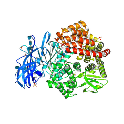 BU of 6bv3 by Molmil