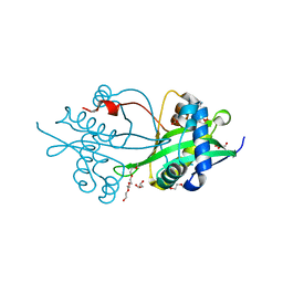 BU of 6bvc by Molmil