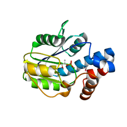 BU of 6bwh by Molmil