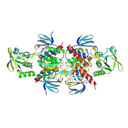 BU of 6bwt by Molmil