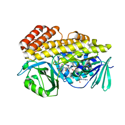 BU of 6bzt by Molmil