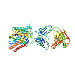 BU of 6c08 by Molmil