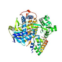 BU of 6c12 by Molmil