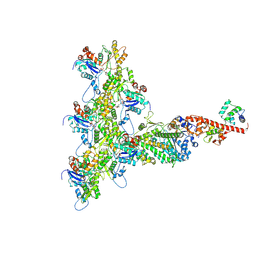 BU of 6c1h by Molmil