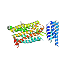 BU of 6c1q by Molmil