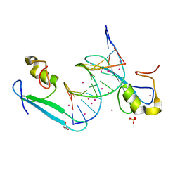 BU of 6c1t by Molmil