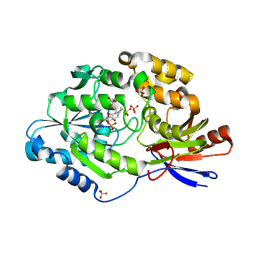 BU of 6c1w by Molmil