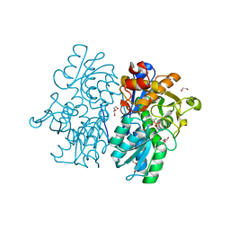 BU of 6c2h by Molmil