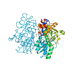 BU of 6c2q by Molmil