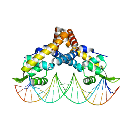 BU of 6c2s by Molmil