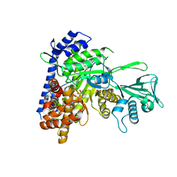 BU of 6c2x by Molmil