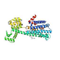 AU of 6c38 by Molmil