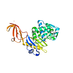 BU of 6c39 by Molmil