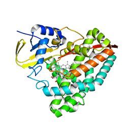 BU of 6c3j by Molmil