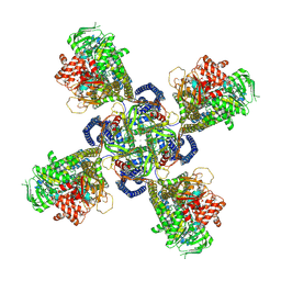 BU of 6c3o by Molmil