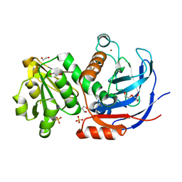 BU of 6c49 by Molmil