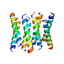 BU of 6c4x by Molmil