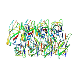 BU of 6c53 by Molmil