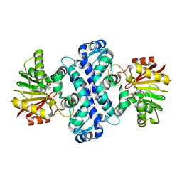 BU of 6c5b by Molmil