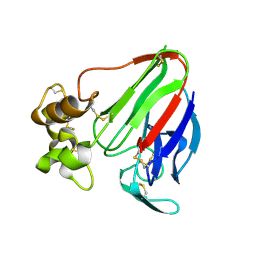 BU of 6c5y by Molmil