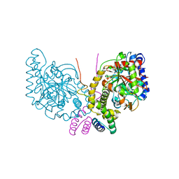 BU of 6c62 by Molmil