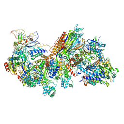 BU of 6c66 by Molmil