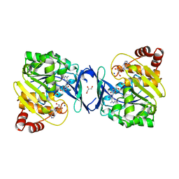 BU of 6c67 by Molmil