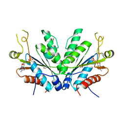 BU of 6c6b by Molmil