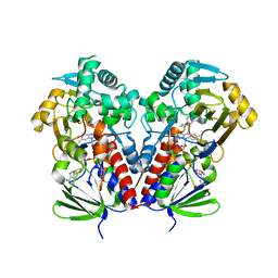 BU of 6c71 by Molmil