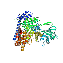 BU of 6c7b by Molmil