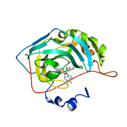 BU of 6c7w by Molmil