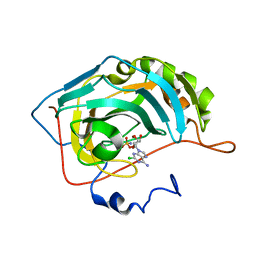 BU of 6c7x by Molmil