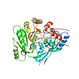 BU of 6c80 by Molmil