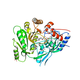 BU of 6c80 by Molmil