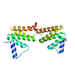 BU of 6c8c by Molmil