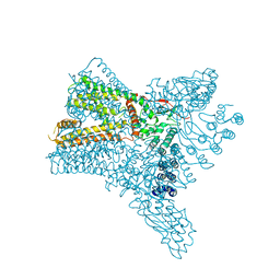 BU of 6c8h by Molmil