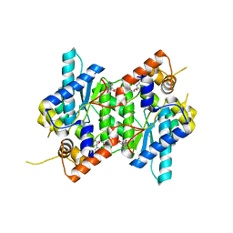 BU of 6c8q by Molmil