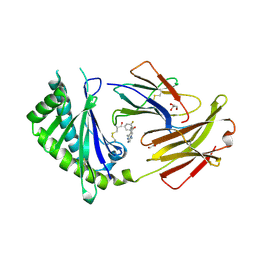 BU of 6c98 by Molmil