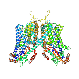 BU of 6c9a by Molmil